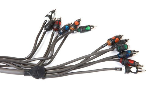 Wet Wire 6 Channel RCA Cable - 23ft