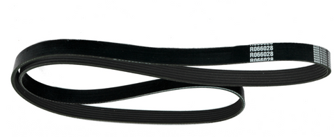 PCM Serpentine Belt - 5.0L and 5.7L (2003 and Newer)